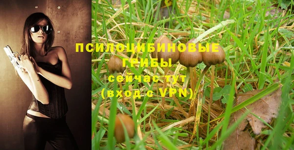 MDMA Premium VHQ Елабуга