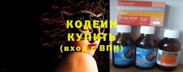 тгк Елизово
