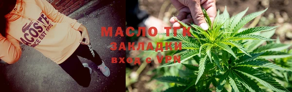 тгк Елизово