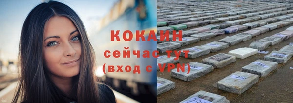 тгк Елизово