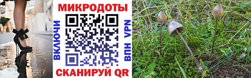 Псилоцибиновые грибы ЛСД Купить где Светогорск